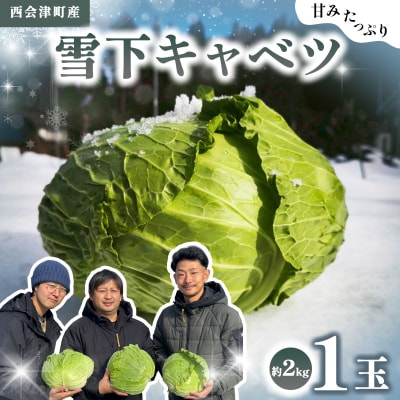 甘みたっぷり 雪下キャベツ 約2kg 野菜 キャベツ 食品 西会津 F4D-2175