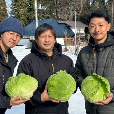 甘みたっぷり 雪下キャベツ 約2kg 野菜 キャベツ 食品 西会津 F4D-2175