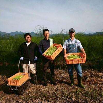 名産! 西会津町 アスパラ 約1kg 新鮮 野菜 アスパラガス 予約 F4D-2397