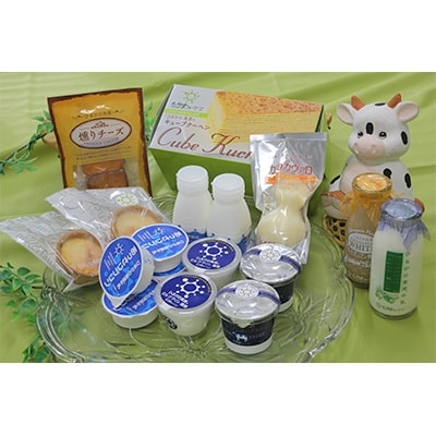 岐阜県郡上市　たかすファーマーズ手作り乳製品詰め合わせ　Bセット