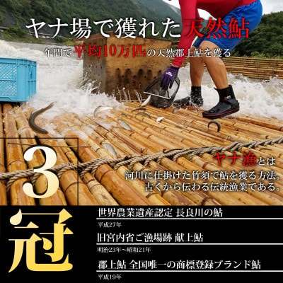 天然鮎専門店みやちかの【天然鮎一夜干し】長良川郡上鮎　5匹