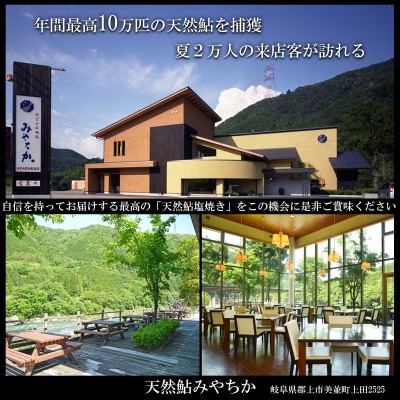 天然鮎専門店みやちかの【天然鮎一夜干し】長良川郡上鮎　5匹
