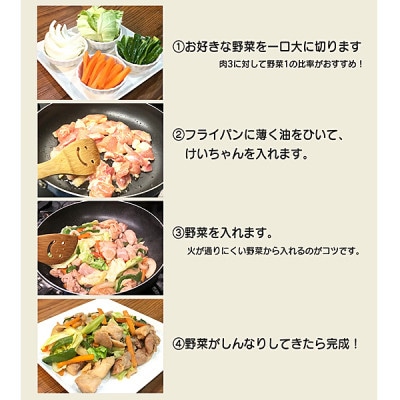 鶏ちゃん(親鶏・若鶏)・鶏ちゃんフランク・明宝フランク　4種類詰め合わせ