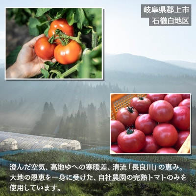 完熟TOMATOES KETCHUP　ケチャップ　4本セット