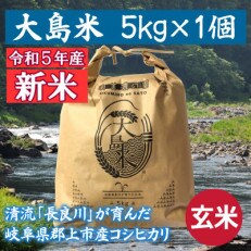 【新米】「令和5年産 玄米」大島米 5kg 岐阜県郡上市産コシヒカリ