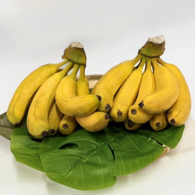 国産バナナ やまと　約160g×3本