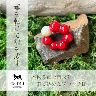 本物の南天を閉じ込めたブローチB