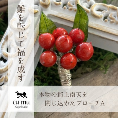 本物の南天を閉じ込めたブローチA