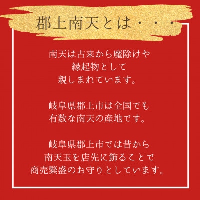 本物の南天を閉じ込めたイヤリングC