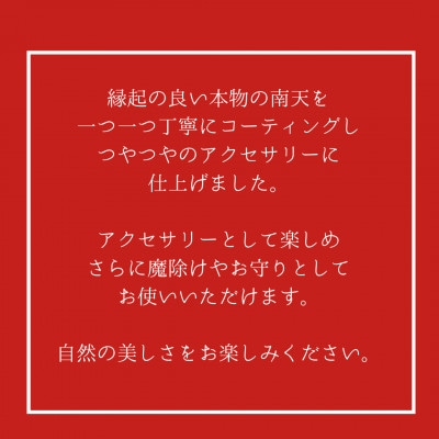 本物の南天を閉じ込めたイヤリングC