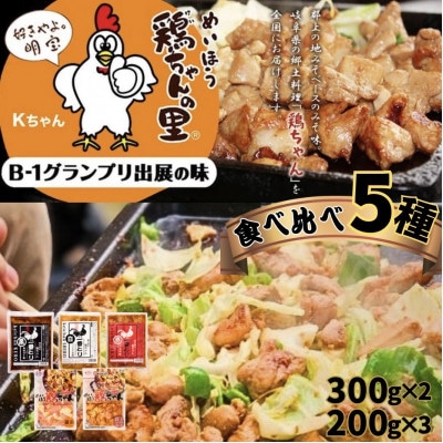 定番から変わり種まで　《郡上鶏ちゃん》5種　味付き肉　鶏肉　冷凍
