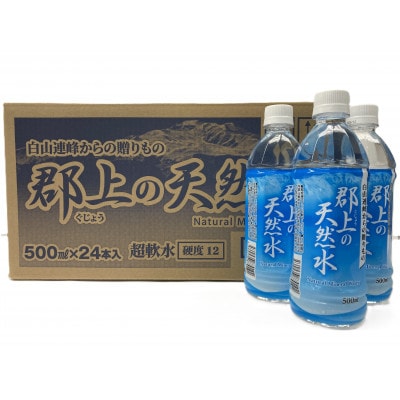 【C-55】清流長良川源流「郡上の天然水 」500ml(24本入)2箱