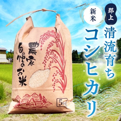 令和7年産 郡上産こしひかり 5kg