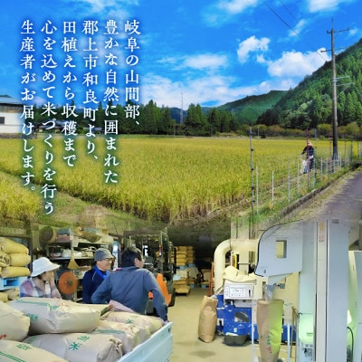 令和7年産 郡上産こしひかり 5kg