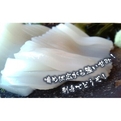 便利な個包装 高級朝どれ白いか丸ごと3本セット ぜひお刺身で お礼品詳細 ふるさと納税なら さとふる