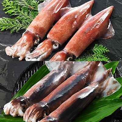 ふるさと納税 寒シマメ肝醤油漬けセット 80g 5p お礼品詳細 ふるさと納税なら さとふる ふるさと納税 寒シマメ肝醤油漬けセット 80g 5p お礼品詳細 ふるさと納税なら さとふる
