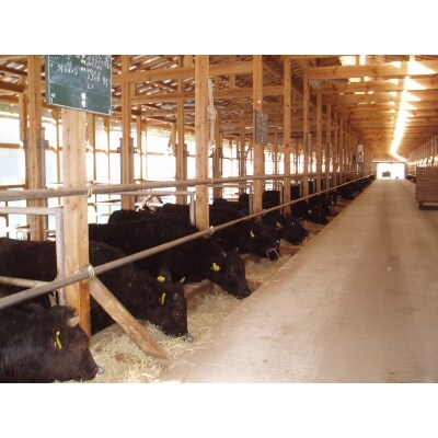  幻の隠岐牛 上カルビ 焼肉用500g 