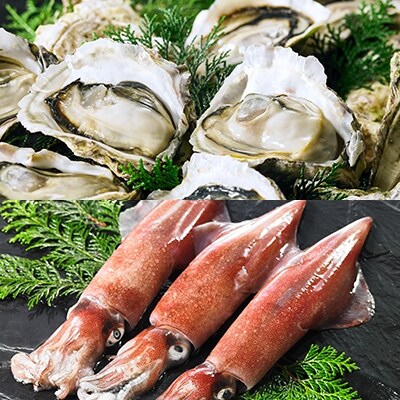 【ふるさと納税】白いかと岩がき春香セット