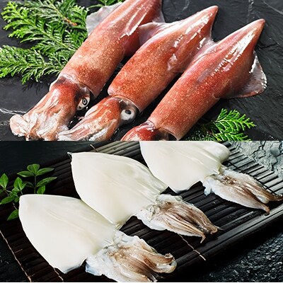 ふるさと納税 寒シマメ肝醤油漬けセット 80g 5p お礼品詳細 ふるさと納税なら さとふる ふるさと納税 寒シマメ肝醤油漬けセット 80g 5p お礼品詳細 ふるさと納税なら さとふる