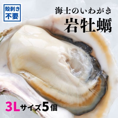 牡蠣 殻なし 計1.6kg～2kg 3Lサイズ 海士町産