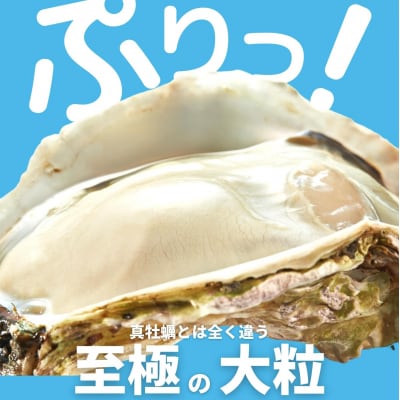 牡蠣 殻なし 計1.6kg～2kg 3Lサイズ 海士町産