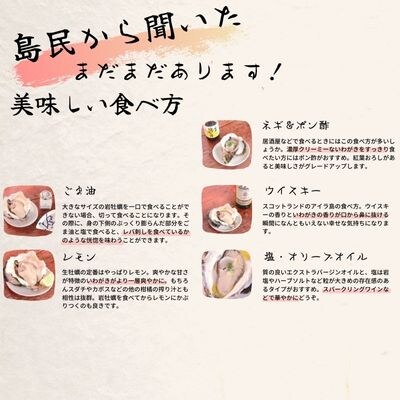 牡蠣 殻なし 計1.6kg～2kg 3Lサイズ 海士町産