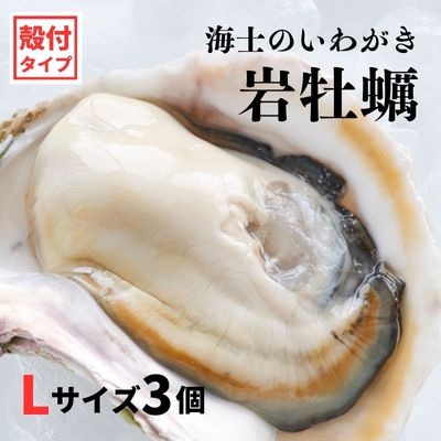 海士のいわがき 岩牡蠣 いわがきフルシェル L 3個 生食