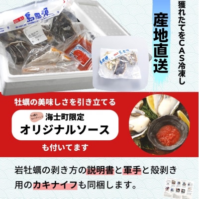 海士のいわがき 岩牡蠣 いわがきフルシェル L 3個 生食