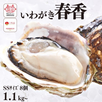 いわがき春香 計1.1kg～1.3kg Sサイズ2個 生食可能 CAS冷凍 牡蠣 岩牡蠣 かき