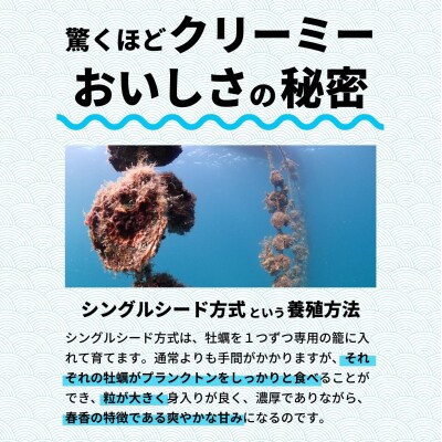 【ふるさと納税】海士町産 ブランド 岩牡蠣 いわがき 春香 フルシェル LL 5個 生食 牡蠣 冷凍