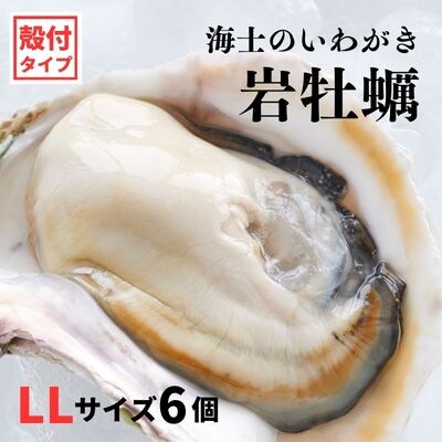 海士のいわがき 計2.4kg～3kg 巨大LLサイズ6個 生食可能 CAS冷凍 牡蠣 岩牡蠣