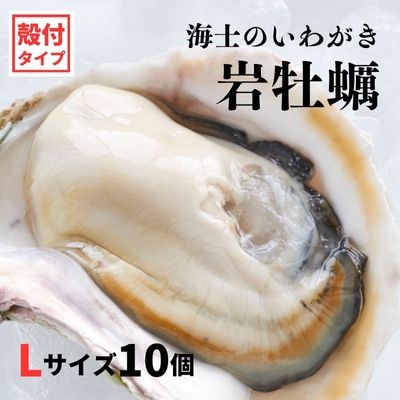 海士のいわがき 岩牡蠣 いわがき フルシェル L 10個 生食 牡蠣