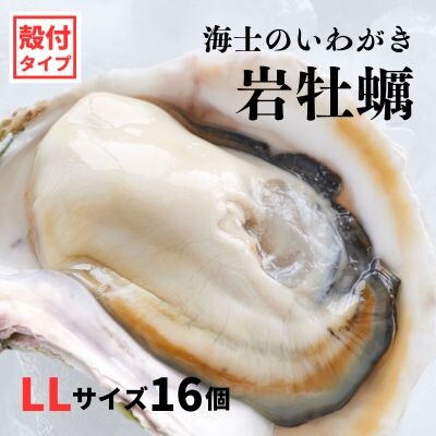 牡蠣  Lサイズ 16個 海士町産