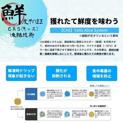 牡蠣  Lサイズ 16個 海士町産