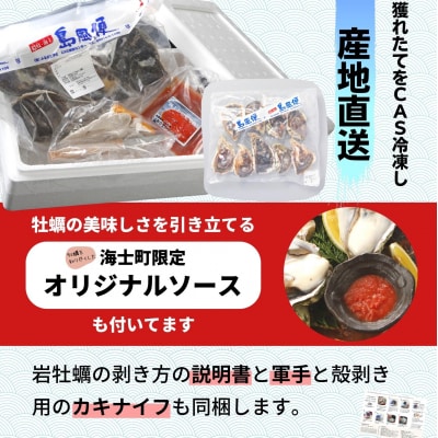 海士のいわがき 岩牡蠣 いわがき フルシェル L 16個 生食 牡蠣 冷凍