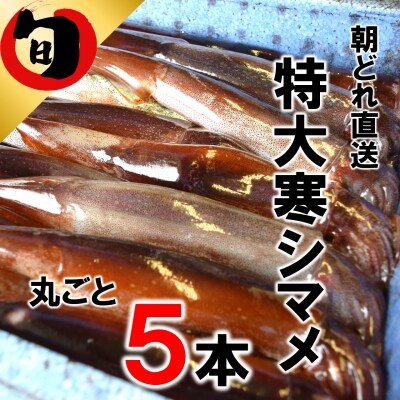 ふるさと納税 スルメイカ スルメ 朝どれ 寒シマメ 5本 2kg イカ 刺身 新鮮 冷凍 小分け お礼品詳細 ふるさと納税なら さとふる