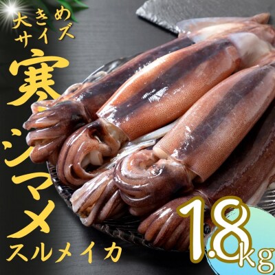 朝どれ寒シマメ スルメイカ 特大サイズ 350-400g 丸ごと5杯 いか イカ 烏賊 CAS 冷凍 | ふるさと納税のお礼品