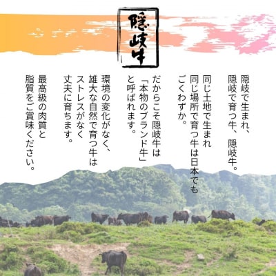 数量限定!◆【A5・A4等級】黒毛和牛・隠岐牛プレミアム生ハンバーグ6個 900g