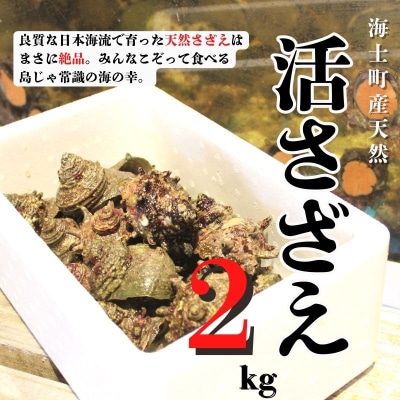 【ふるさと納税】【入荷次第順次発送】島獲れ活さざえ2kg 新鮮 BBQ