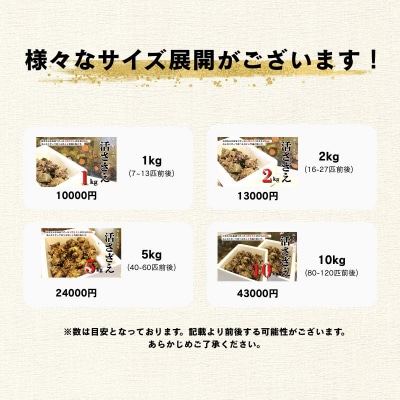 【ふるさと納税】【入荷次第順次発送】島獲れ活さざえ2kg 新鮮 BBQ