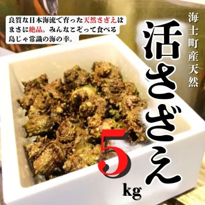 【ふるさと納税】【8月下旬以降順次発送】 島獲れ活さざえ5kg 新鮮 BBQ