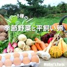 【ふるさと納税】季節の野菜詰め合わせ(7～8種)と平飼い卵セット 