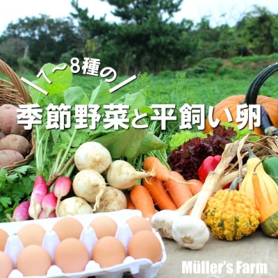 【ふるさと納税】季節の野菜詰め合わせ(7～8種)と平飼い卵セット 