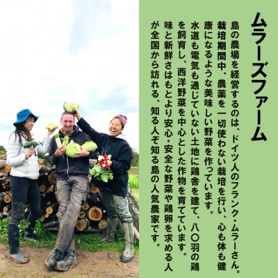 【ふるさと納税】季節の野菜詰め合わせ(7～8種)と平飼い卵セット 