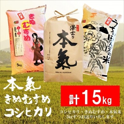 ふるさと納税 計15kg コシヒカリ5kg きぬむすめ5kg 本氣米5kg 本氣食べ比べセット お礼品詳細 ふるさと納税なら さとふる