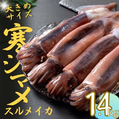 【朝どれ寒シマメ 大サイズ 4～5杯】1.4kg～1.6kg  いか イカ スルメイカ 寒シマメ