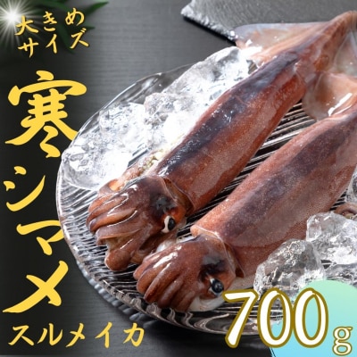 スルメイカ 丸ごと2本 700g以上 寒シマメ