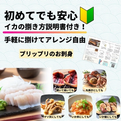 スルメイカ 丸ごと2本 700g以上 寒シマメ