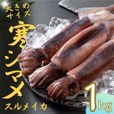 スルメイカ 丸ごと3～4本 1.0㎏以上 寒シマメ　