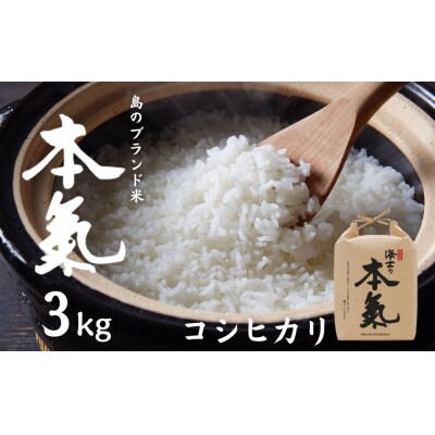 令和7年度産 島のブランド米「本氣米」3kg(コシヒカリ)